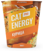 Cat Energy Pro 1000