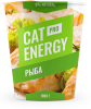 Cat Energy Pro 1000